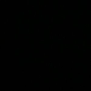 Meet your Posher, Isabel